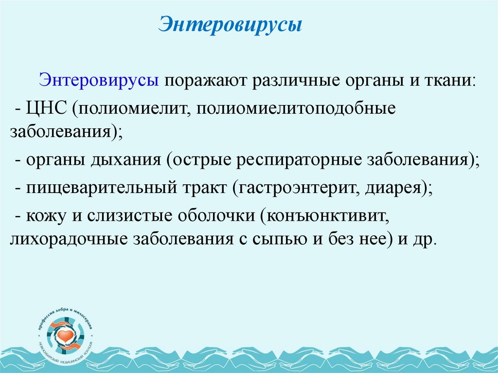 Энтеровирусы