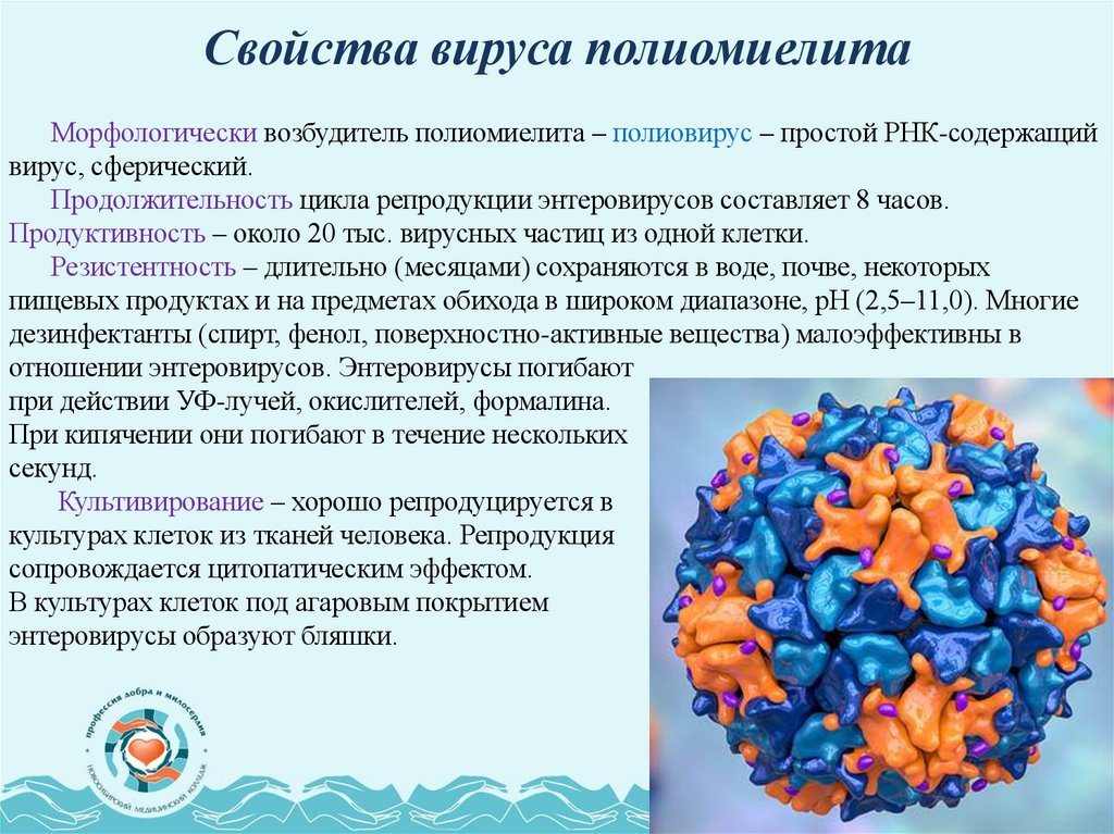 Свойства вируса полиомиелита