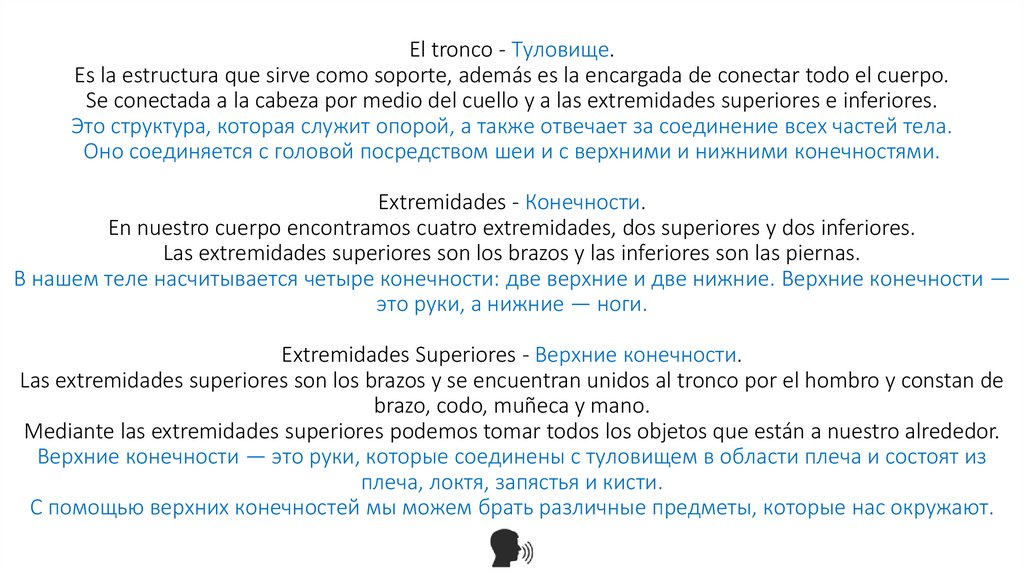 El tronco - Туловище. Es la estructura que sirve como soporte, además es la encargada de conectar todo el cuerpo. Se conectada