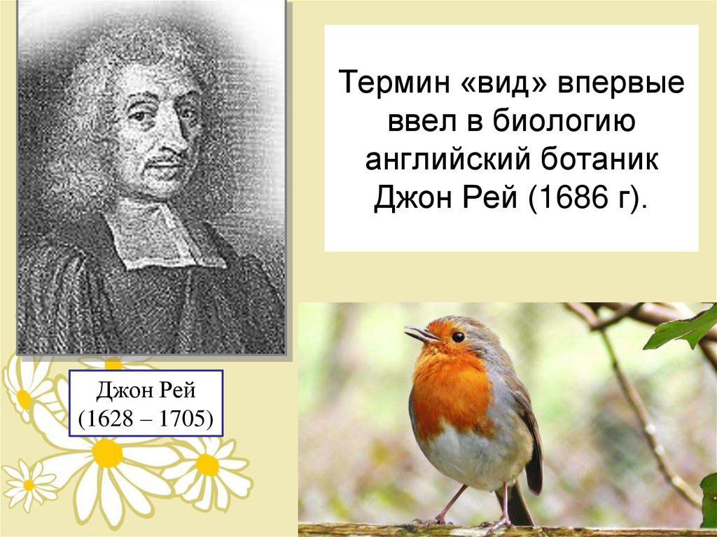 Термин «вид» впервые ввел в биологию английский ботаник Джон Рей (1686 г).
