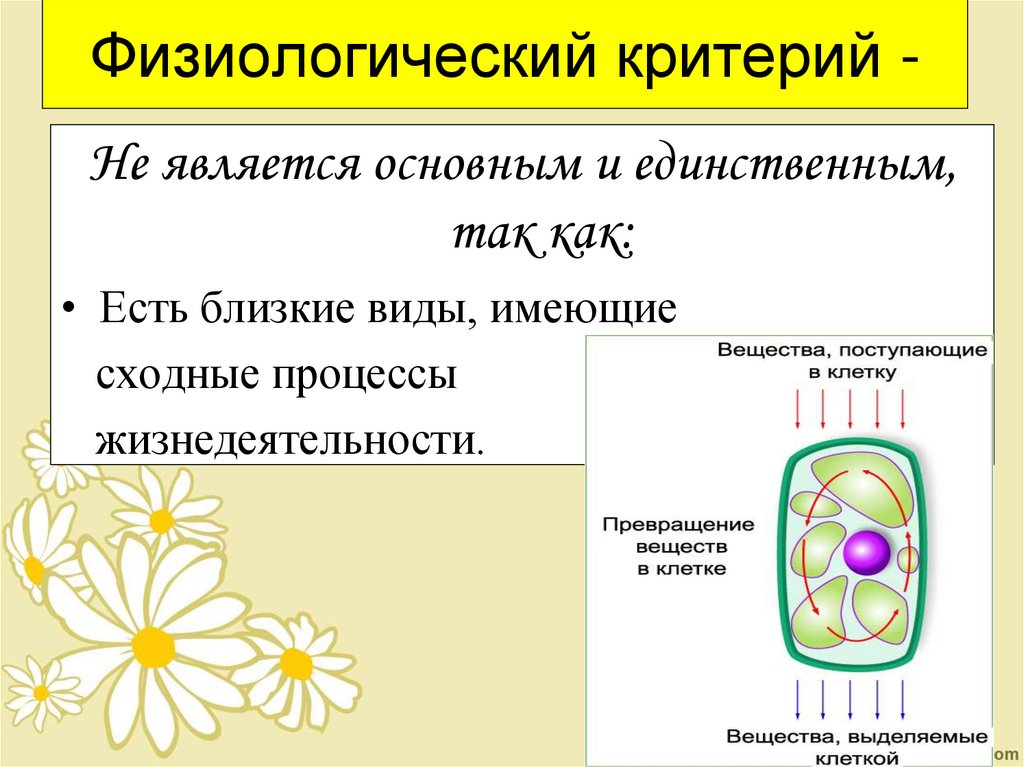 Физиологический критерий -