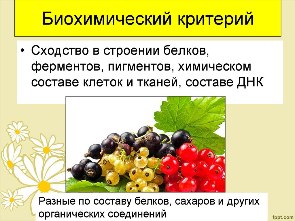 Биохимический критерий