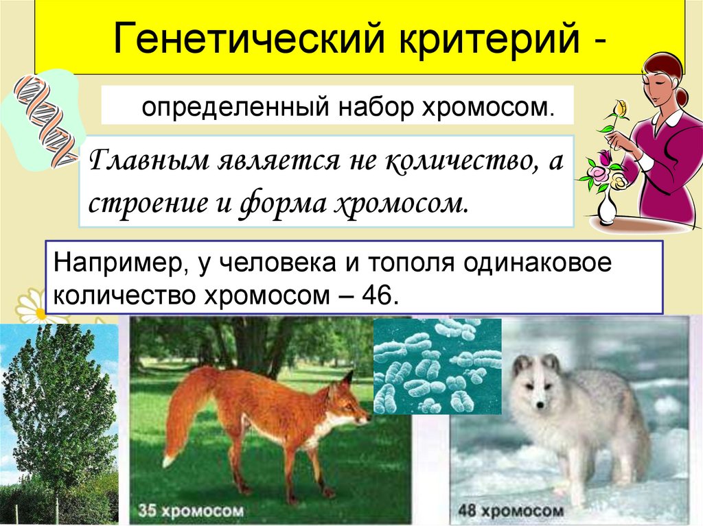 Генетический критерий -