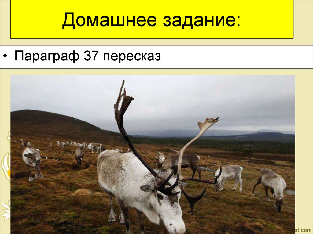 Домашнее задание: