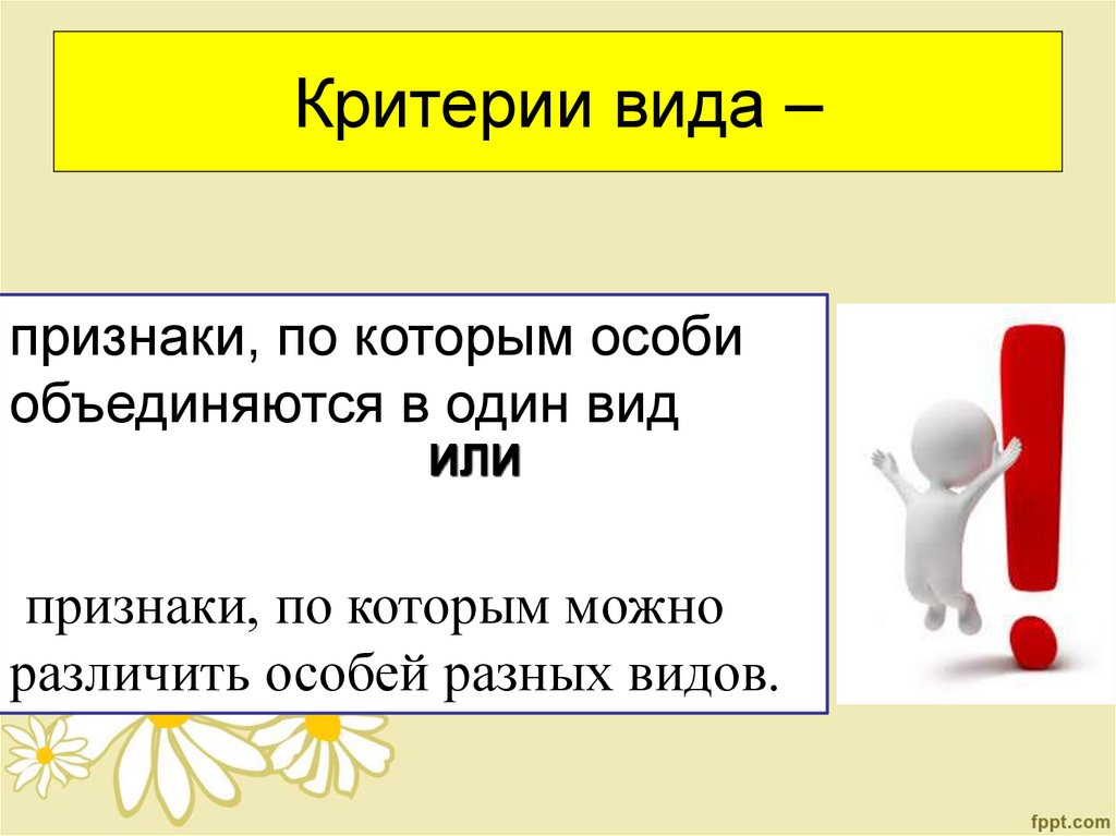 Критерии вида –