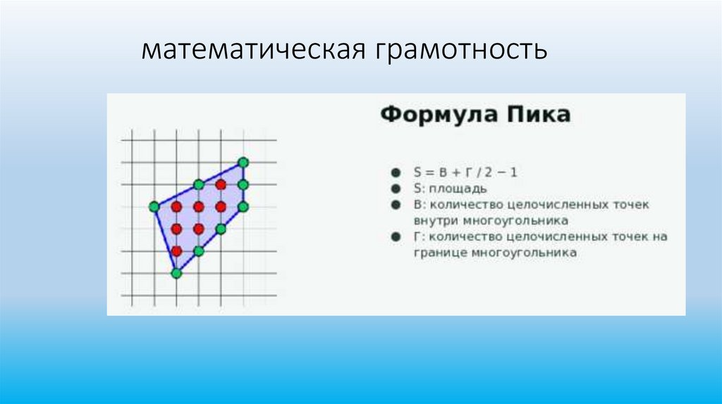 математическая грамотность