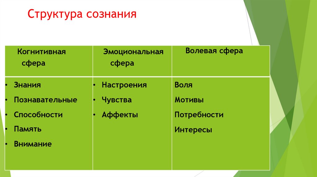 Структура сознания