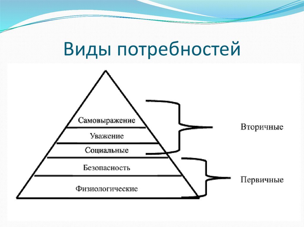 Виды потребностей