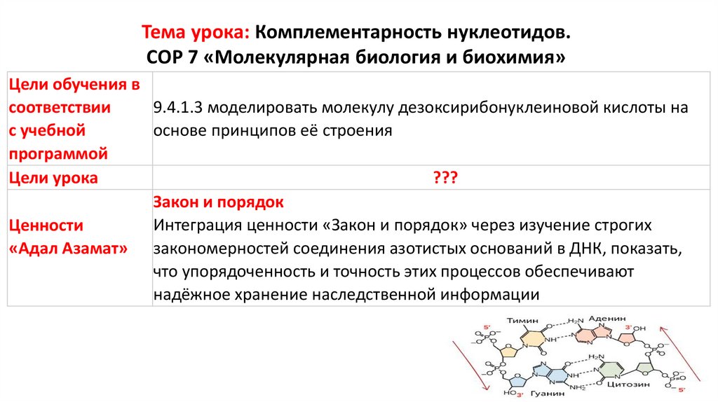 Тема урока: Комплементарность нуклеотидов. СОР 7 «Молекулярная биология и биохимия»