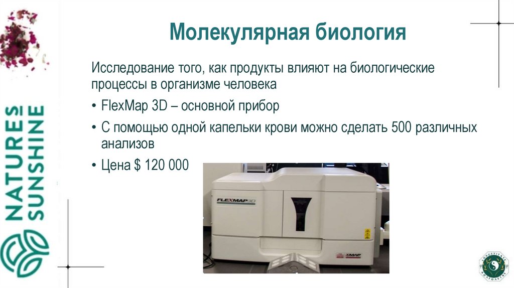 Молекулярная биология