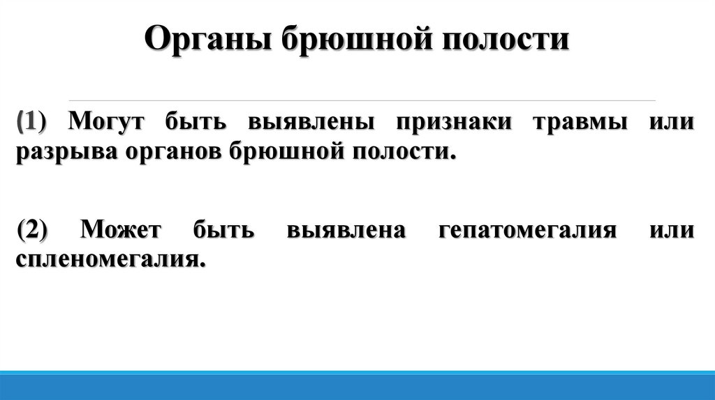 Органы брюшной полости