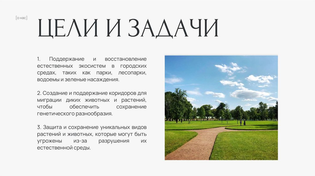 ЦІКИ И 3АQАЧИ