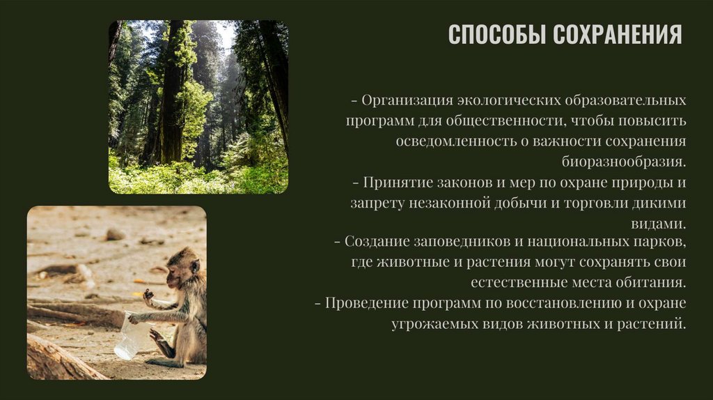 СПОСОБЫ СОХPAHЕHИR