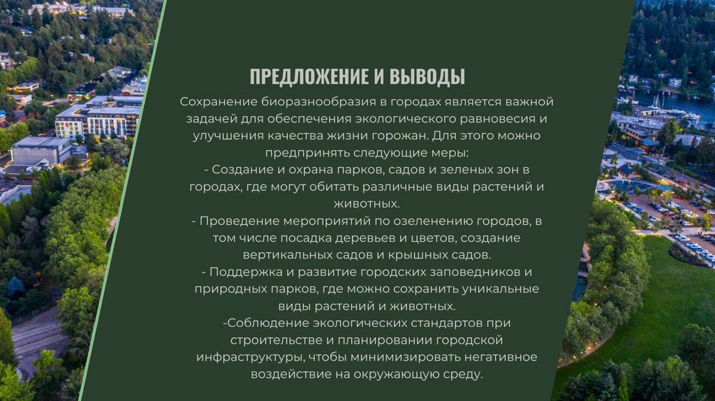 ПРЕДЛОЖЕНИЕ И ВЫВОДЫ