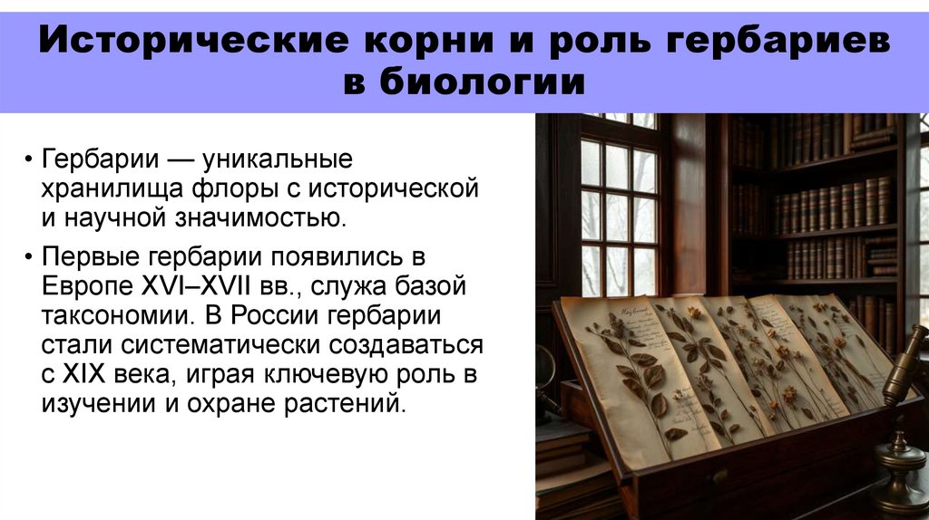 Исторические корни и роль гербариев в биологии