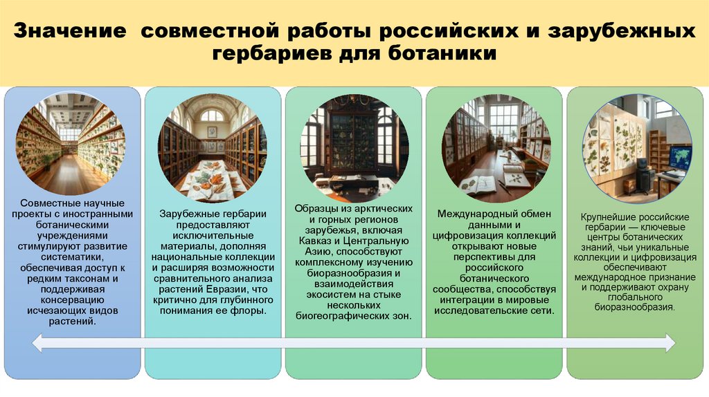 Значение совместной работы российских и зарубежных гербариев для ботаники