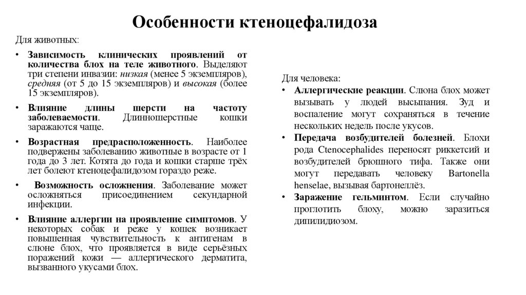 Особенности ктеноцефалидоза