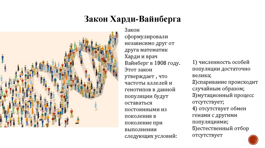 Закон Харди-Вайнберга