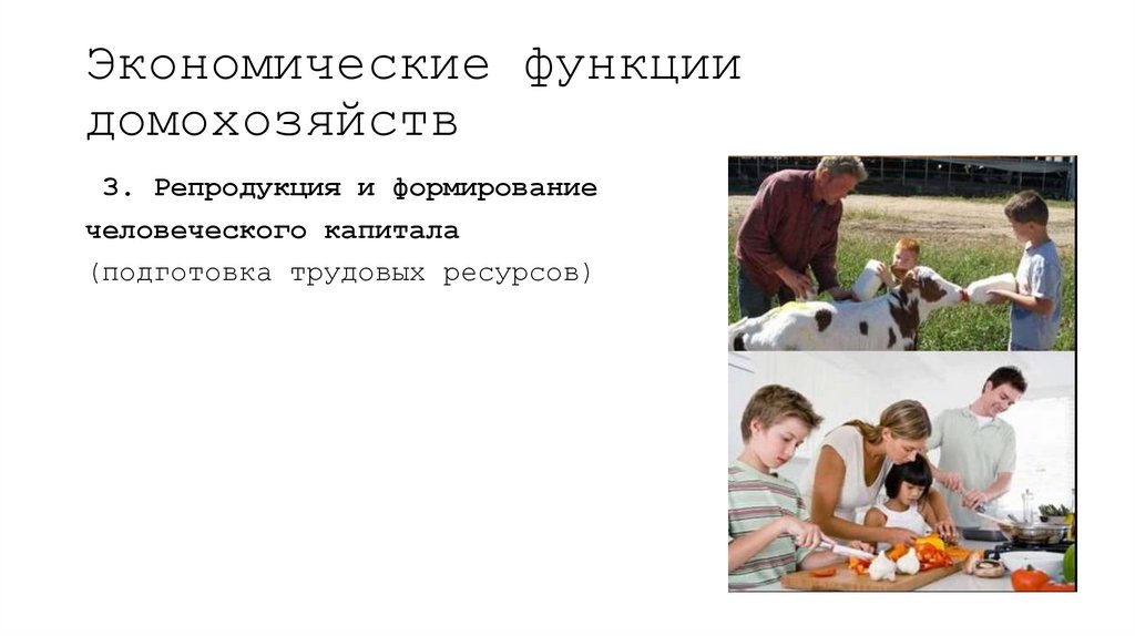 Экономические функции домохозяйств