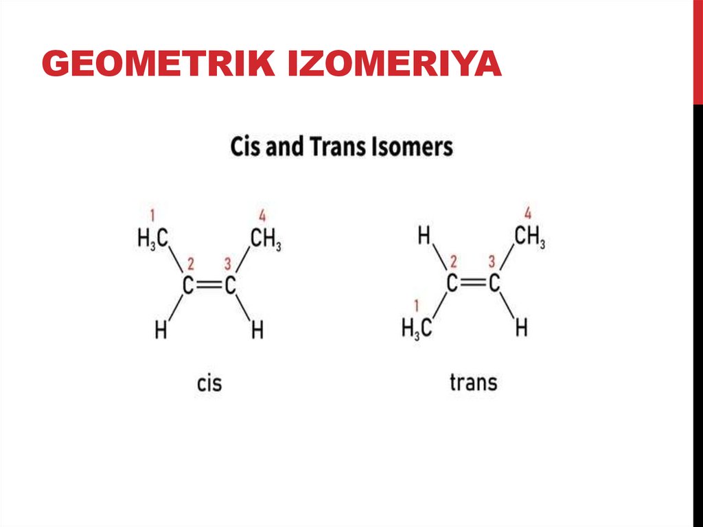 Geometrik izomeriya