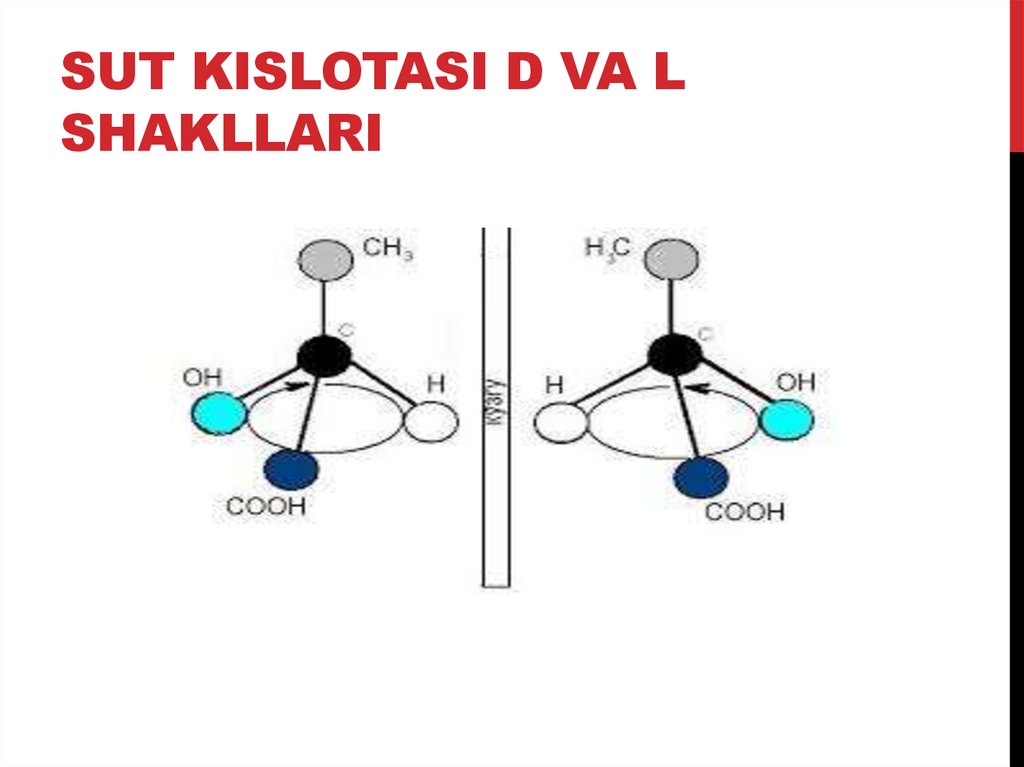 Sut kislotasi D va L shakllari