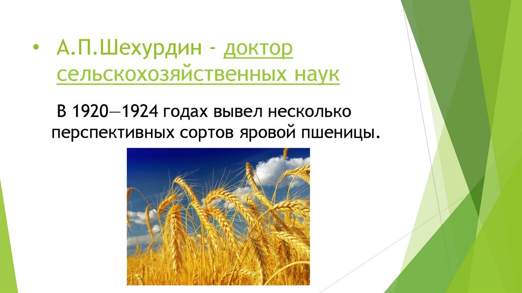 А.П.Шехурдин - доктор сельскохозяйственных наук