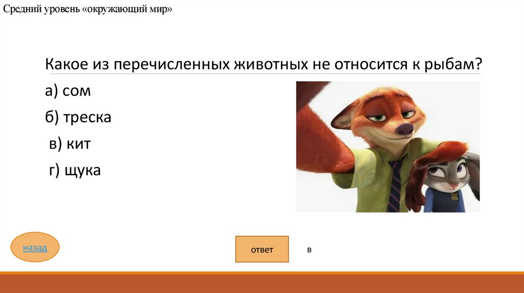 Средний уровень «окружающий мир»