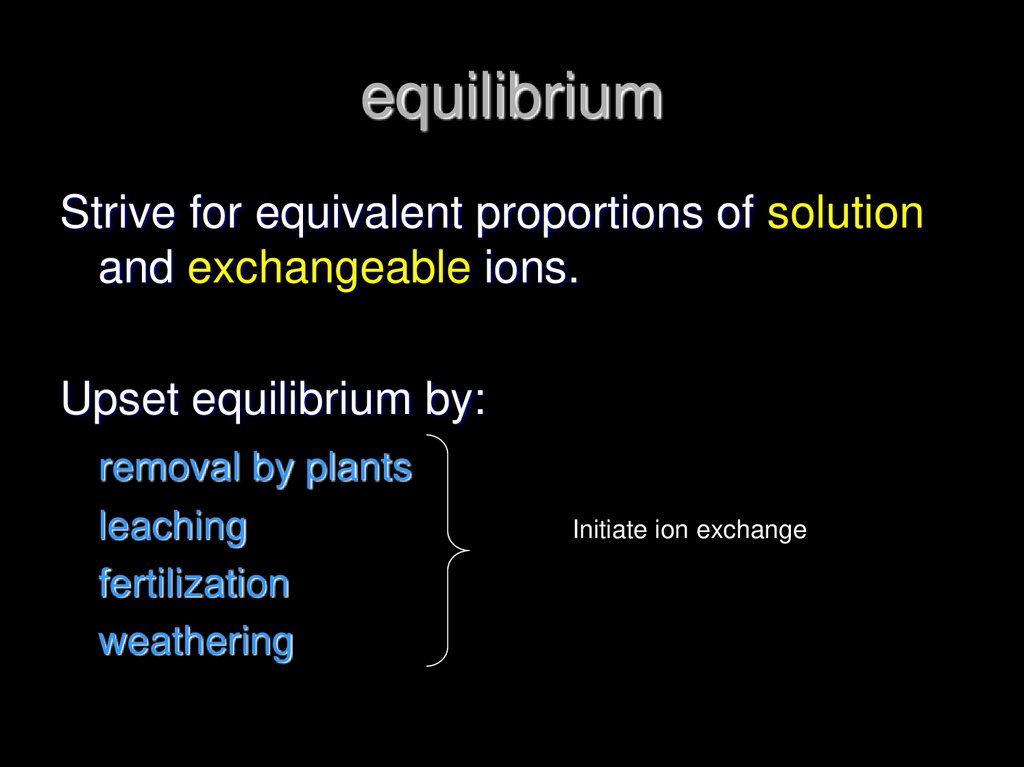 equilibrium