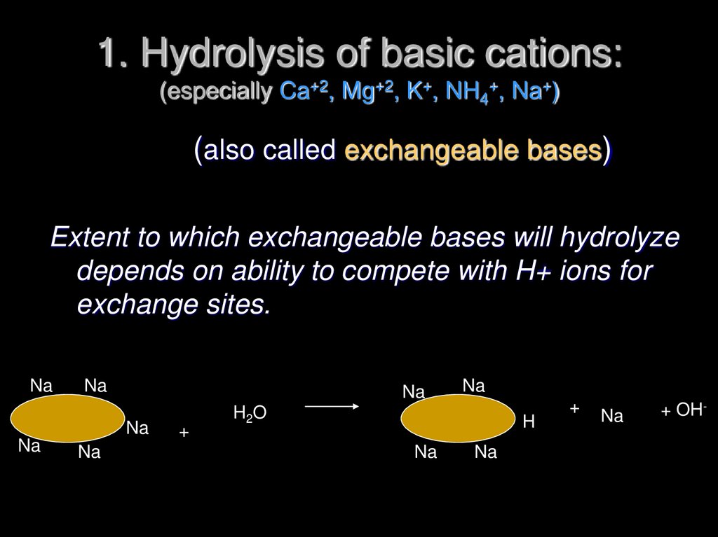 1. Hydrolysis of basic cations: (especially Ca+2, Mg+2, K+, NH4+, Na+)