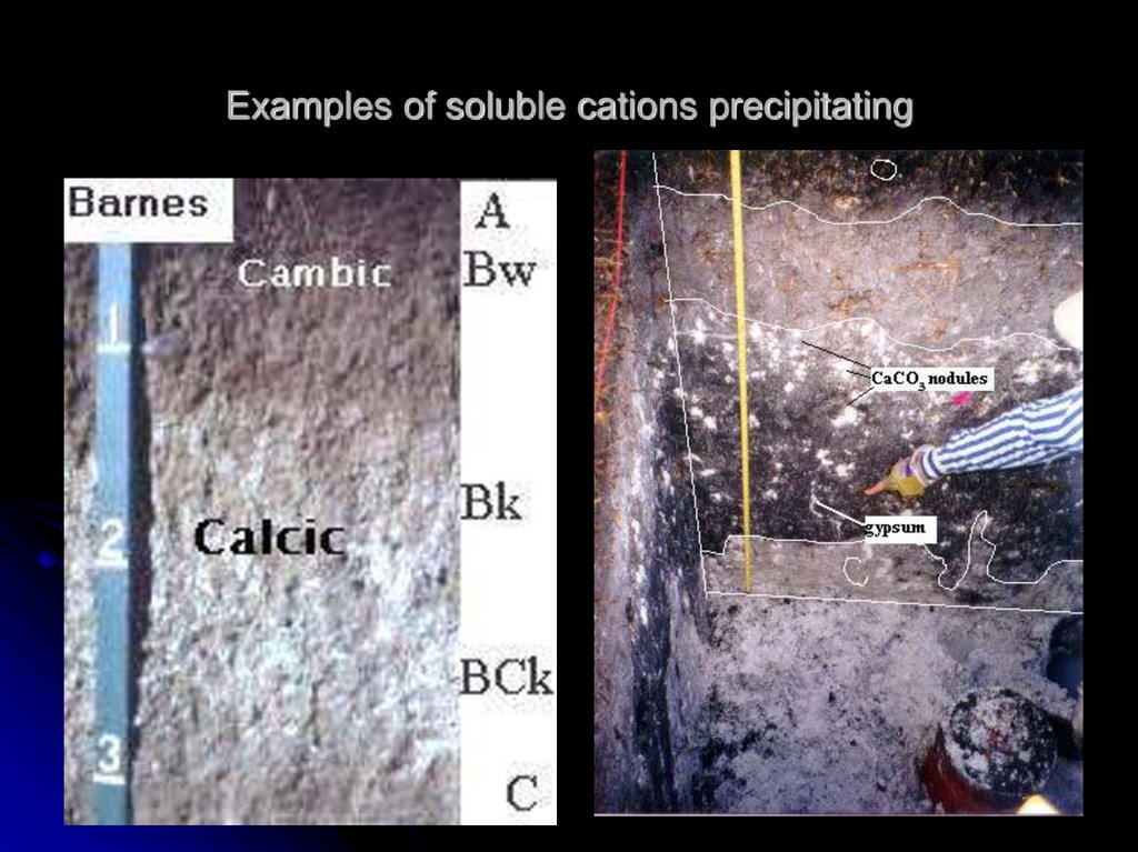 Examples of soluble cations precipitating