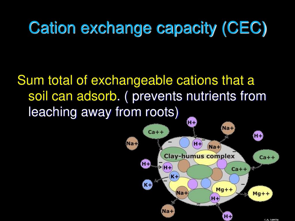 Cation exchange capacity (CEC)
