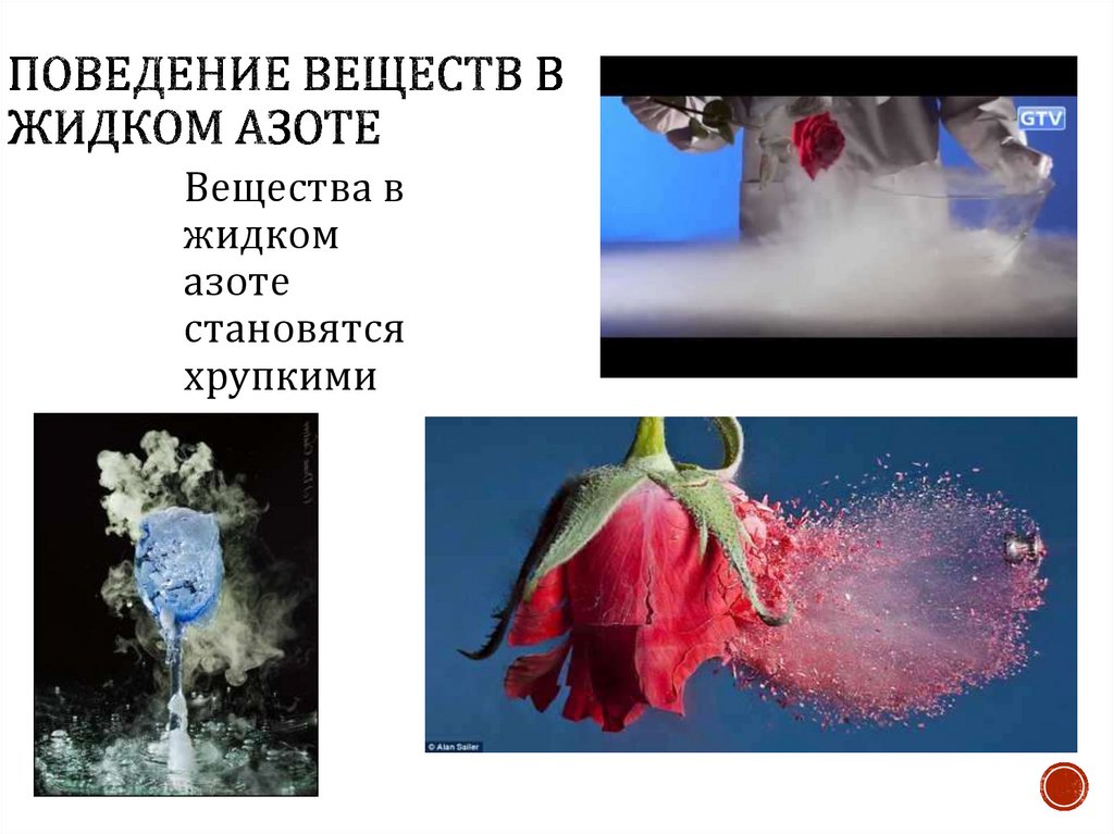 Поведение веществ в жидком азоте