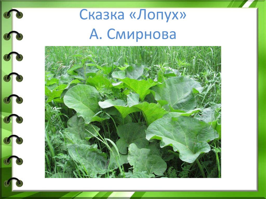Сказка «Лопух» А. Смирнова
