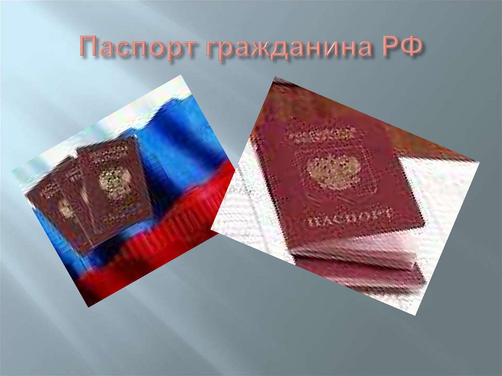 Паспорт гражданина РФ