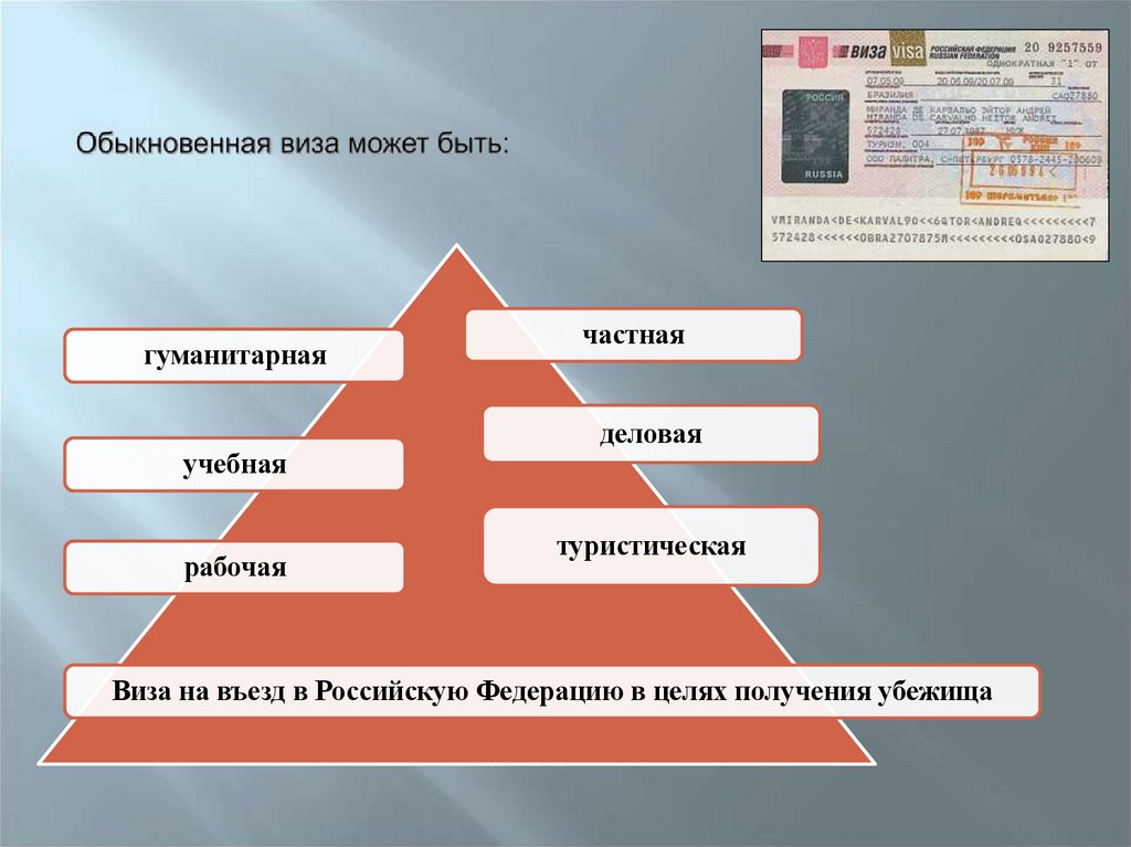 Обыкновенная виза может быть:
