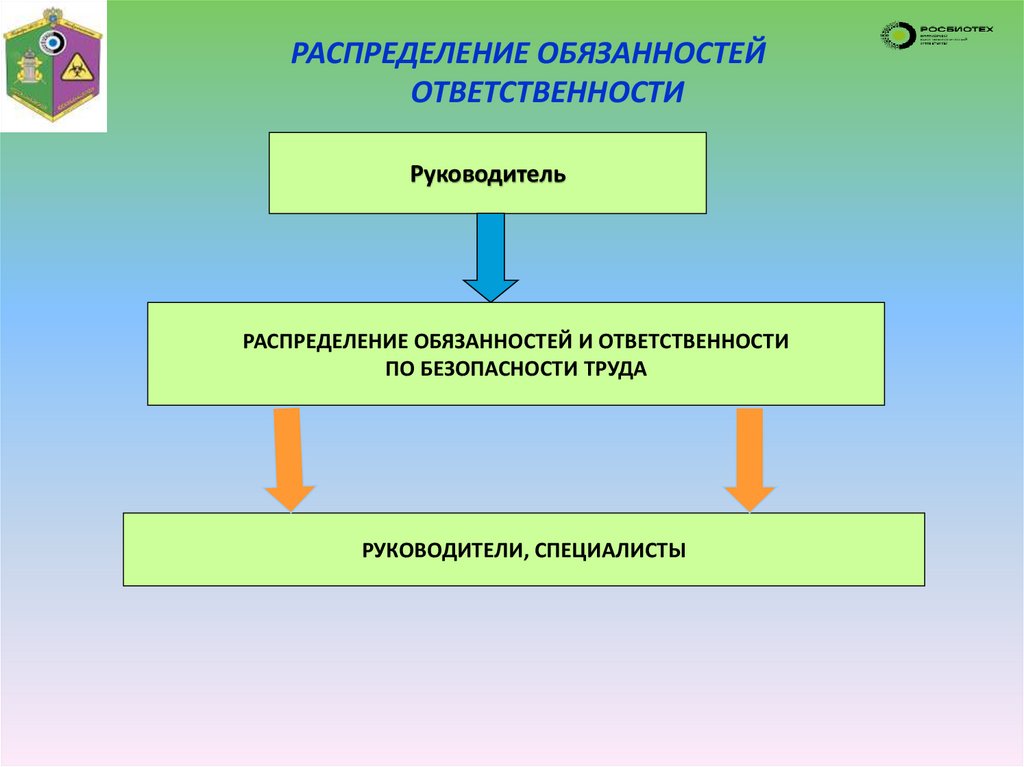 РАСПРЕДЕЛЕНИЕ ОБЯЗАННОСТЕЙ ОТВЕТСТВЕННОСТИ