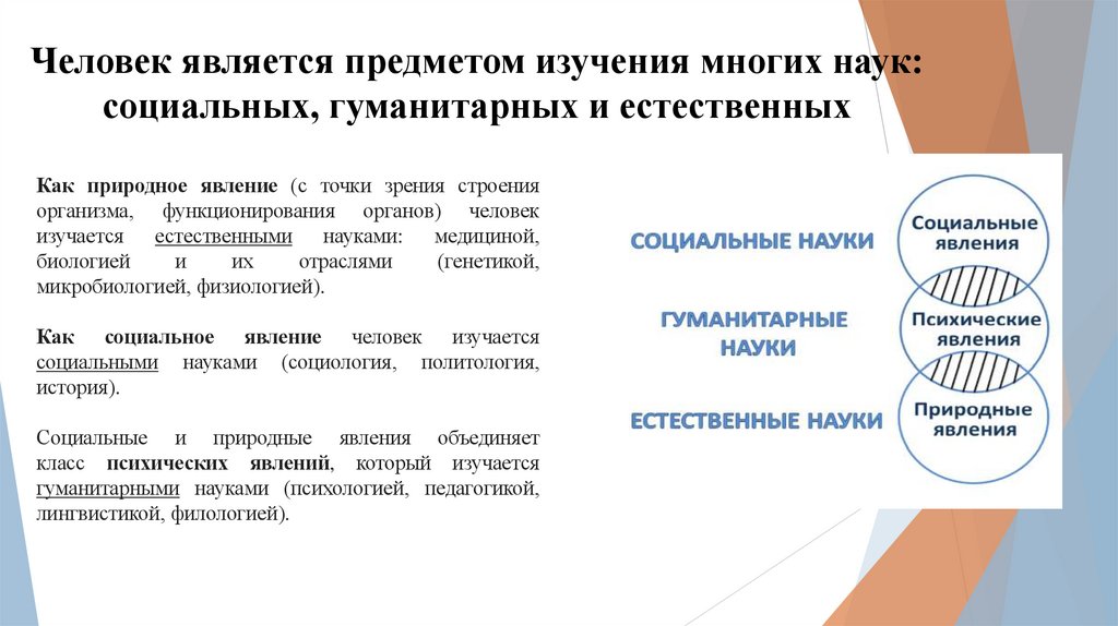 Человек является предметом изучения многих наук: социальных, гуманитарных и естественных