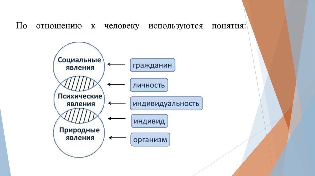 По отношению к человеку используются понятия:
