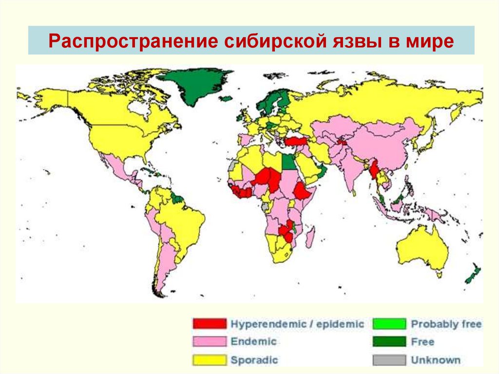 Распространение сибирской язвы в мире