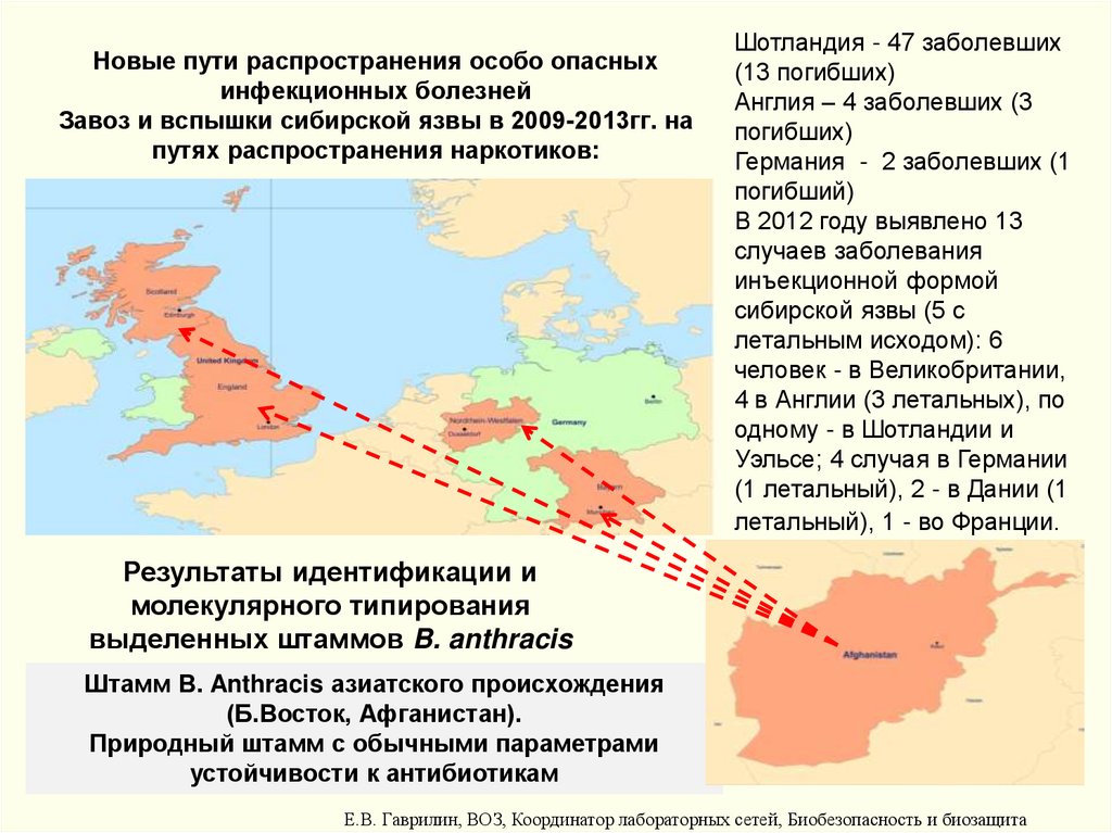 Новые пути распространения особо опасных инфекционных болезней Завоз и вспышки сибирской язвы в 2009-2013гг. на путях