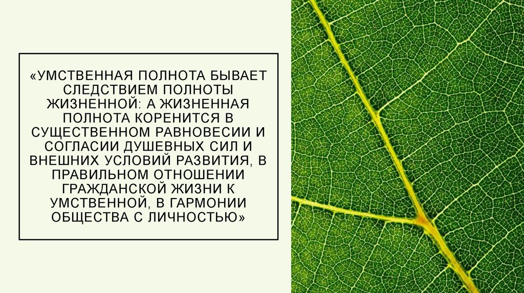 «Умственная полнота бывает следствием полноты жизненной: а жизненная полнота коренится в существенном равновесии и согласии