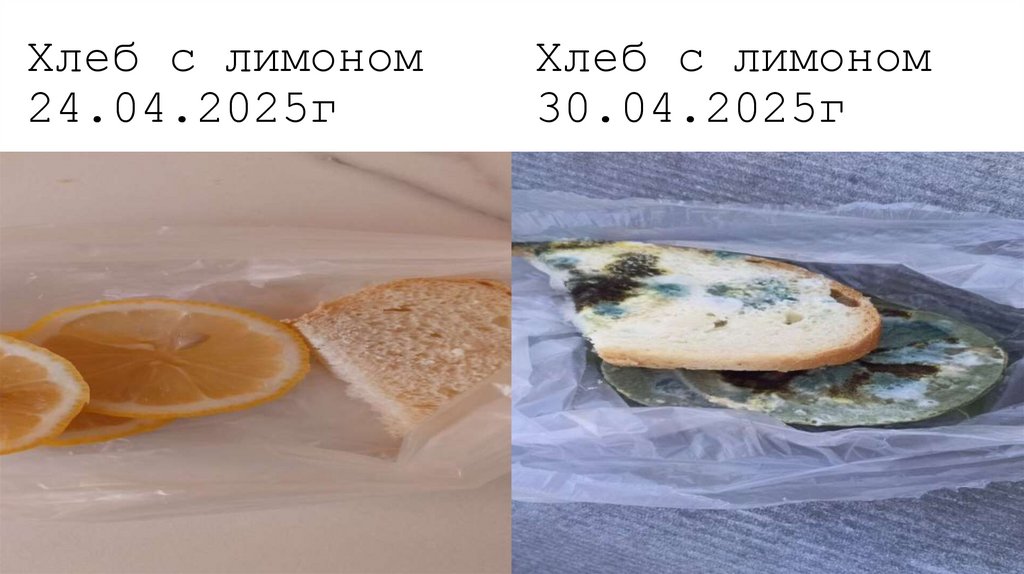 Хлеб с лимоном Хлеб с лимоном 24.04.2025г 30.04.2025г