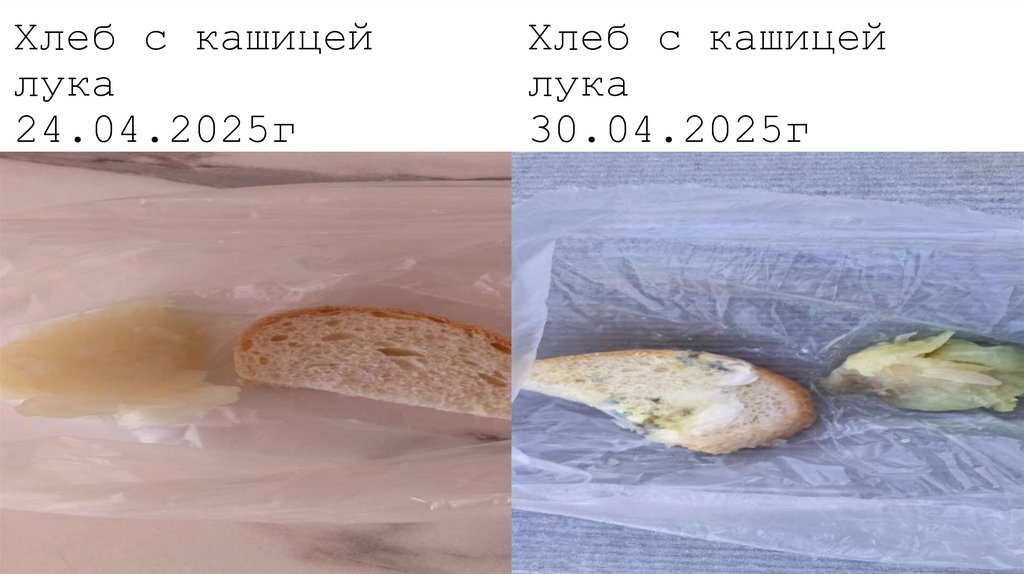 Хлеб с кашицей Хлеб с кашицей лука лука 24.04.2025г 30.04.2025г