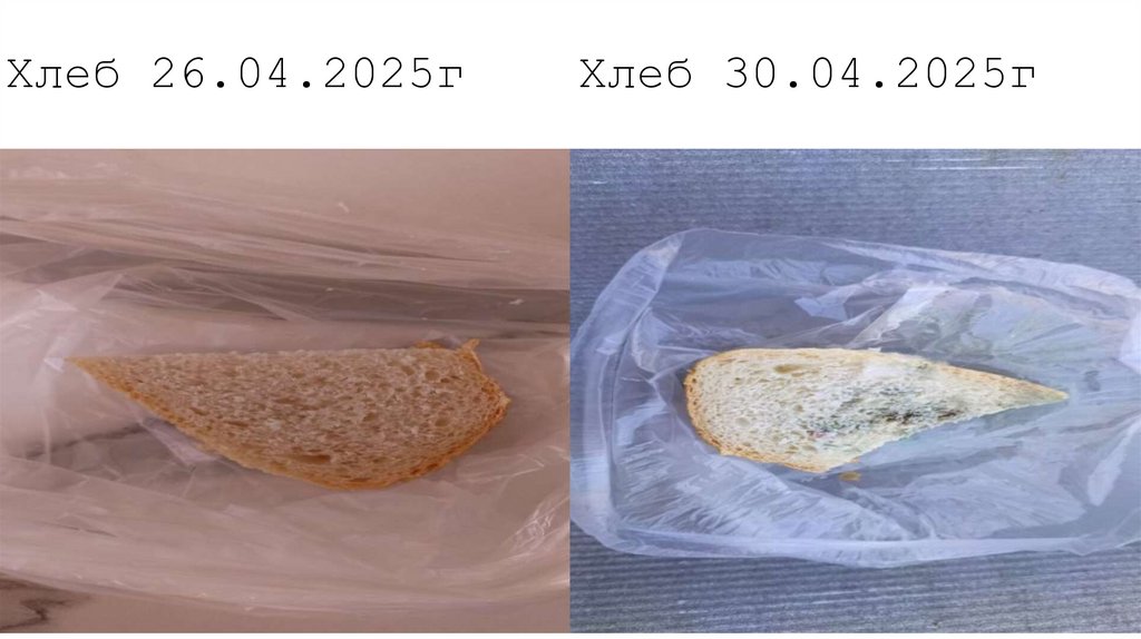 Хлеб 26.04.2025г Хлеб 30.04.2025г