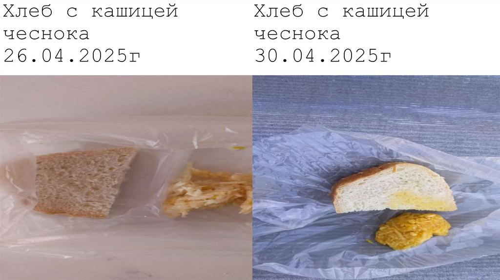 Хлеб с кашицей Хлеб с кашицей чеснока чеснока 26.04.2025г 30.04.2025г