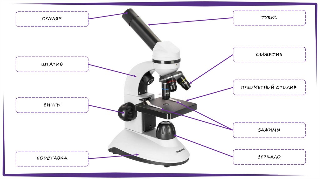 https___school.mos.ru_ej_attachments_files_217_138_475_original_%D0%A0 ...