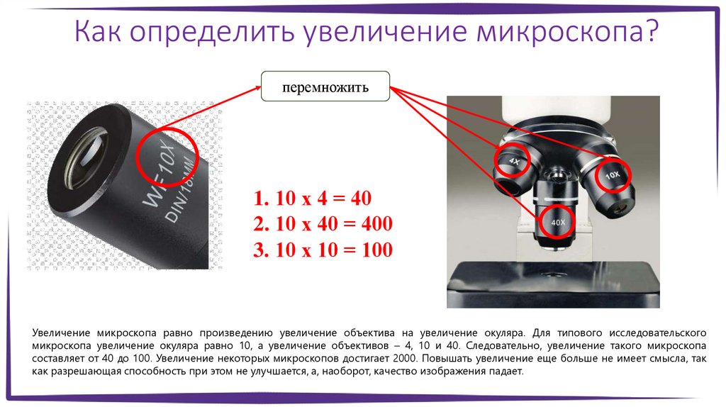 Как определить увеличение микроскопа?
