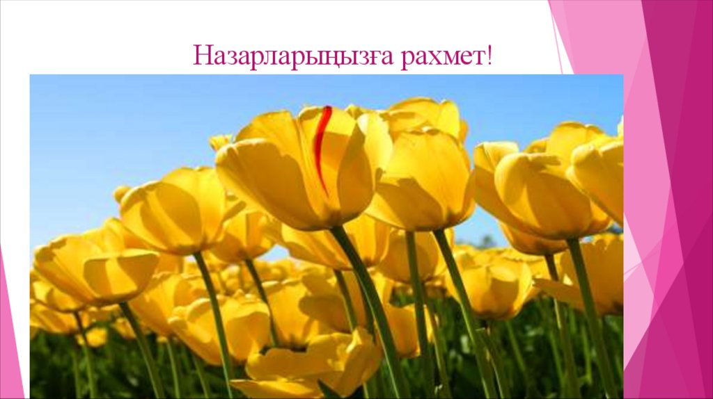 Назарларыңызға рахмет!