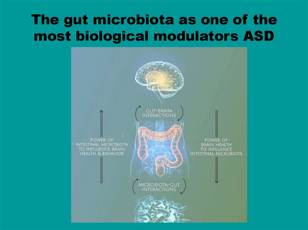 Тhe gut microbiota as one of the most biological modulators ASD