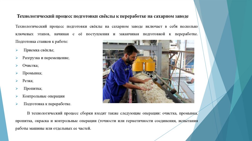 Технологический процесс подготовки свёклы к переработке на сахарном заводе